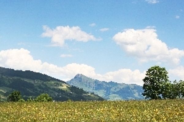Loipenstub'n (Brixen im Thale)